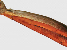 Копченая вяленая соленая рыба от производителя  ООО Джива