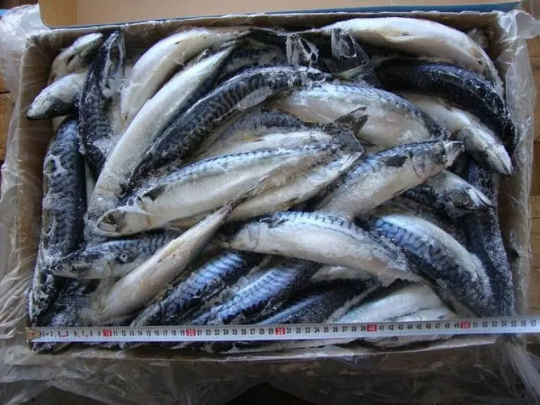 рыбу. морепродукты оптом в Москве