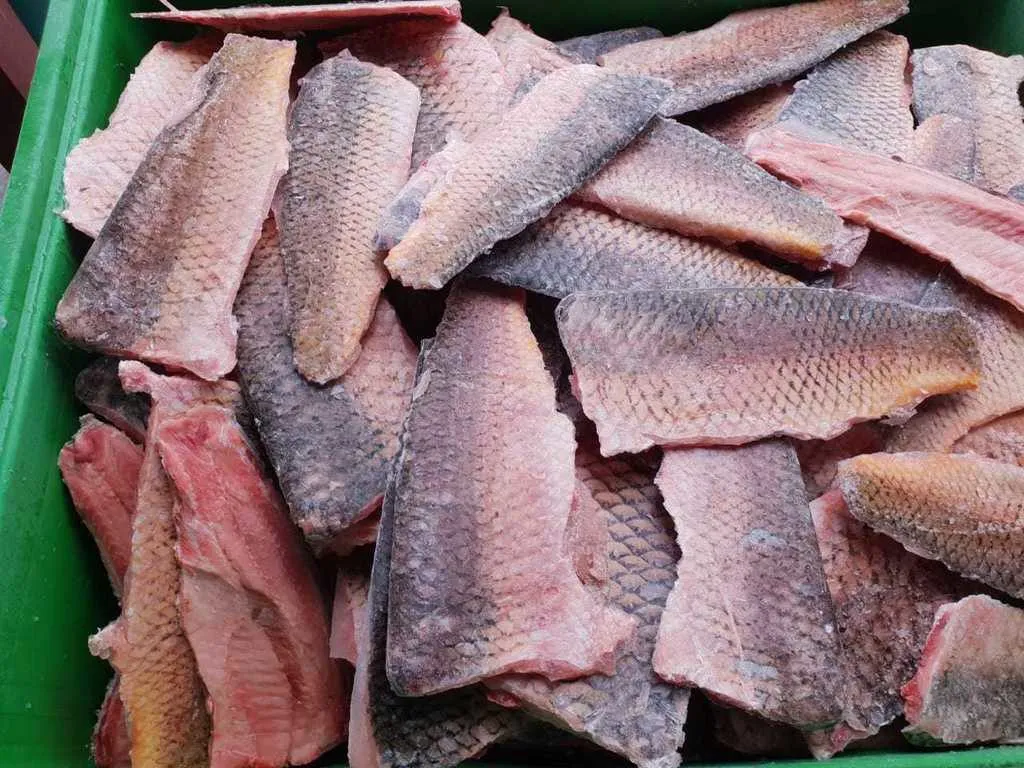 рыбные филе судак, сазан оптом  в Казахстане 7