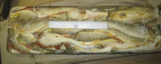 фотография продукта Свежемороженная рыба Склад Владивосток