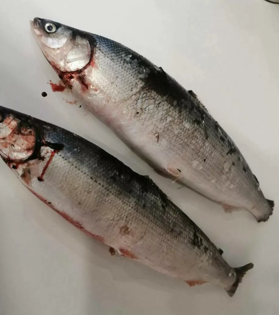 фотография продукта Якутская рыба в красноярске: омуль