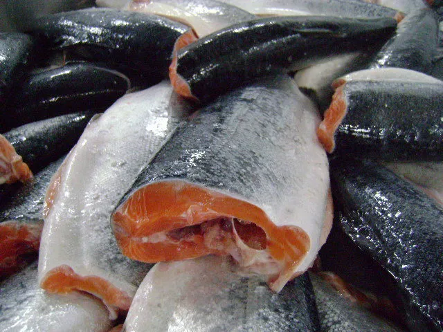 рыба и морепродукты из аргентины в Аргентине 3