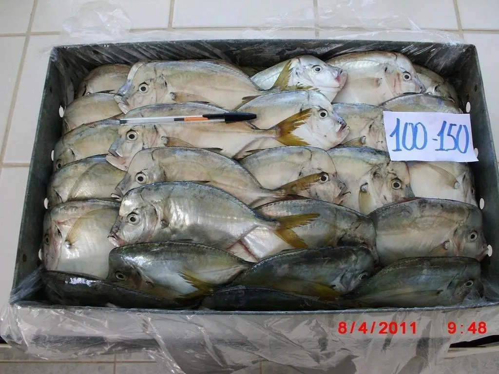 рыба и морепродукты из аргентины в Аргентине