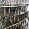 камеры сушки и вяления рыбы (вялка) в Калуге и Калужской области 11