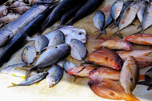 Производство рыбы во Вьетнаме за первые 8 месяцев достигла 5,7 млн ​​тонн