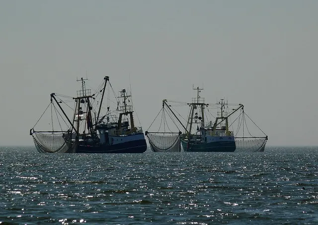 Миллионы выделены на поддержку рыболовства Великобритании, но Шотландия не довольна