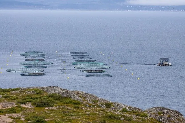 Во Вьетнаме утвержден проект развития морской аквакультуры до 2030 года