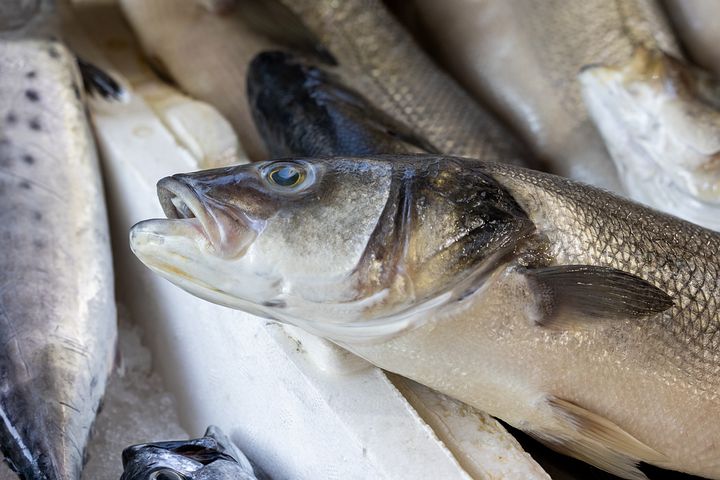 Правительство Сахалинской области запоздало создало перечень из трех рыболовных участков на Сахалине