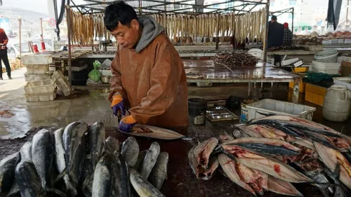 Китай намерен нарастить производство морепродуктов до 69 млн тонн к 2025 году 