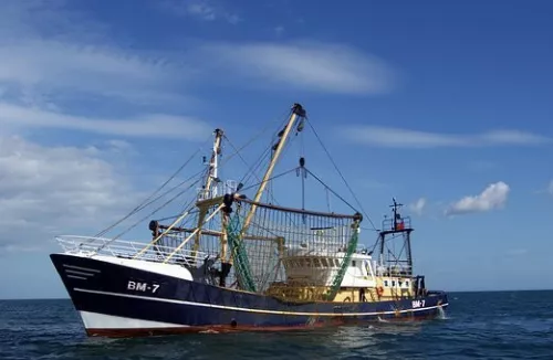 Транспортная прокуратура организовала проверку по факту задымления на рыболовном траулере «Рашков»
