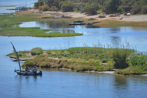 Египет ускорит реализацию плана по защите озер для увеличения производства рыбы