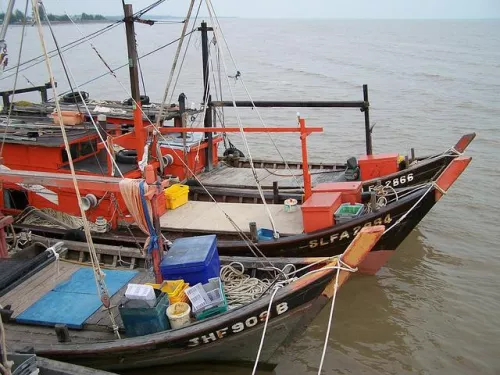 Китай заменяет топливные субсидии выплатами за ответственное рыболовство