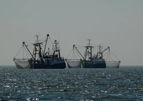 Добыча морепродуктов в США в 2020 году сильно пострадала от COVID-19 