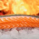 Малкинский лососевый рыбоводный завод празднует 40-летие