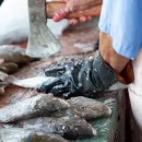 Южно-Курильский рыбокомбинат организовал 50 новых рабочих мест