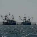 Республика Крым прочно удерживает позиции в первой пятерке по промыслу рыбы