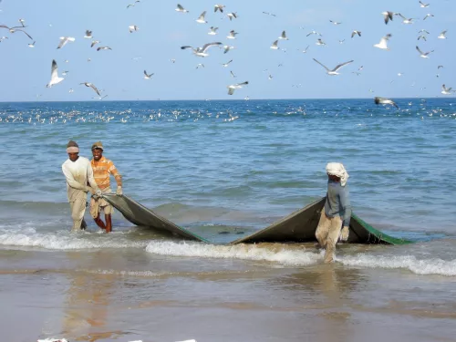 Новое партнерство поддержит дальнейшее развитие сектора аквакультуры Омана