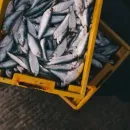 Данные о ценах рыбного аукциона Портленда 22.07.2022 – 28.07.2022