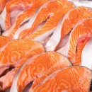 ФГБУ «ВГНКИ» разрабатывают методику выявления генетически модифицированного атлантического лосося