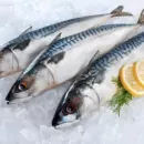 Рыбные ряды: розничные цены на основные виды рыбной продукции вновь снижаются вслед за оптовыми