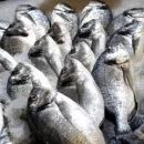 В Приморье и на Сахалине проконтролирован экспорт 393 партий рыбы и морепродуктов