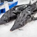 В России повысили штрафы за незаконный вылов краснокнижных рыб