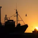 Южная Корея продолжает сокращать рыбацкий флот