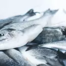 В Рыбном союзе сообщили, что рост экспорта рыбной продукции с начала года превысил 15%