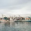 Рыбный порт Владивостока может обзавестись новым активом