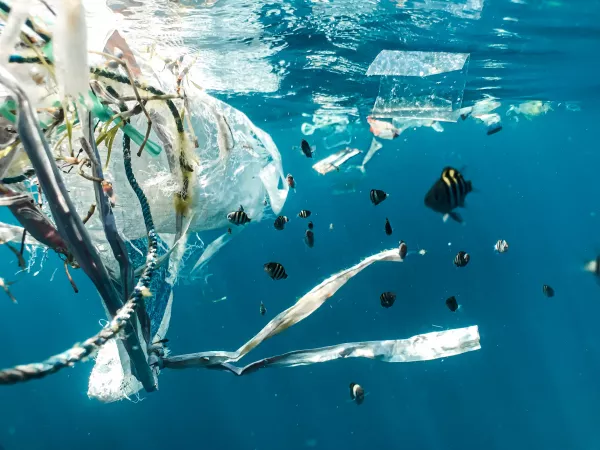 Индонезийские власти будут платить рыбакам за сбор пластикового мусора в море