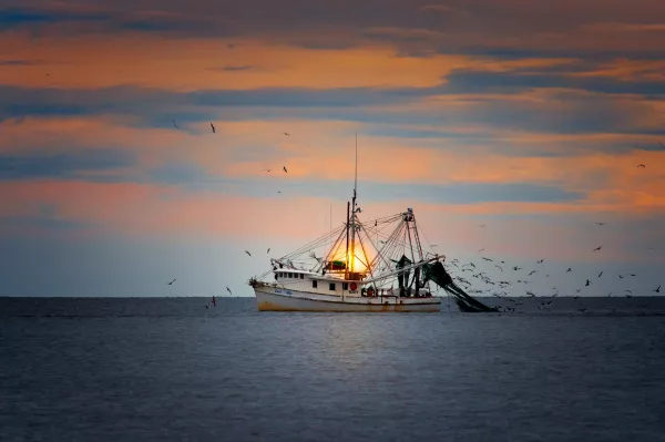 Рыболовный флот ЕС потерял рентабельность в 2022 году