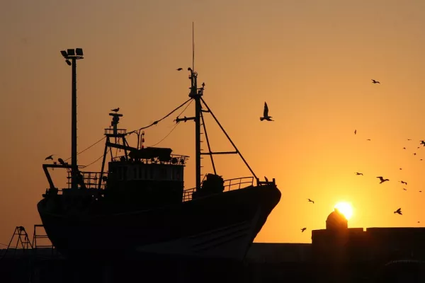 Марокко и Мавритания продлевают соглашение о рыболовстве и аквакультуре