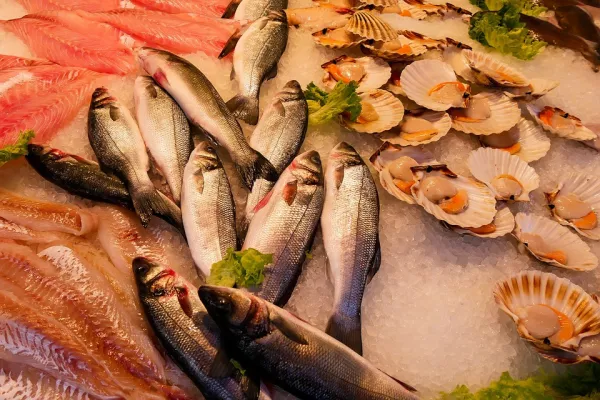 Еще один рекордный месяц для норвежского экспорта морепродуктов