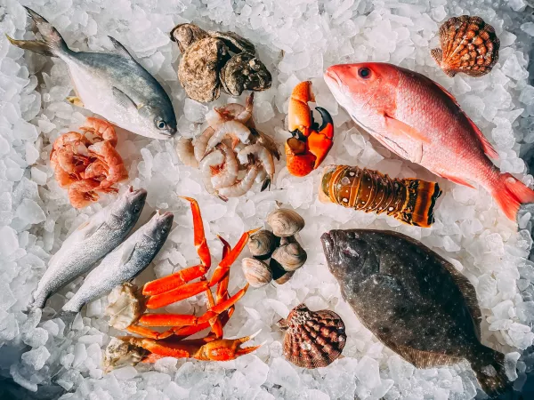Несмотря на Рождество, продажи морепродуктов в США в декабре снизились