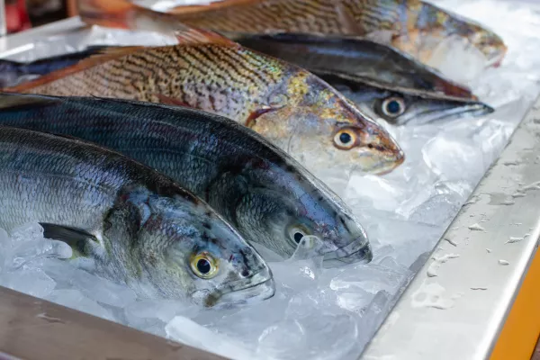 В Якутии система «Меркурий» позволила выявить незаконный оборот рыбной продукции неизвестного происхождения