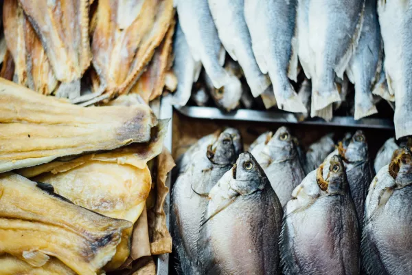 Производство филе минтая из свежей рыбы наладили в Приморье