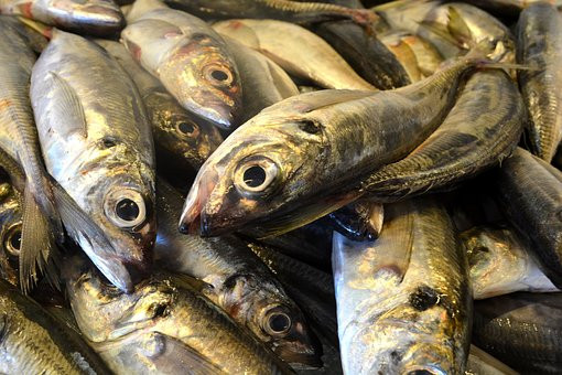 Пакистанские экспортеры морепродуктов стремятся к возобновлению торговли с ЕС и США