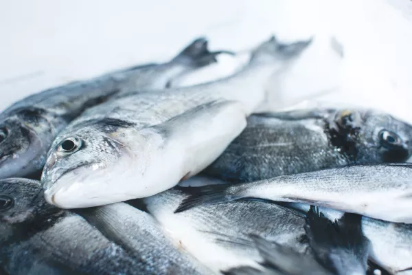 Рыбопромышленники оценили влияние гибкой экспортной пошлины на рынок рыбы