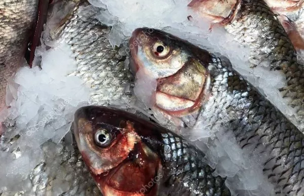 Анализ рисков поставок небезопасной рыбной продукции по данным за сентябрь 2023 года