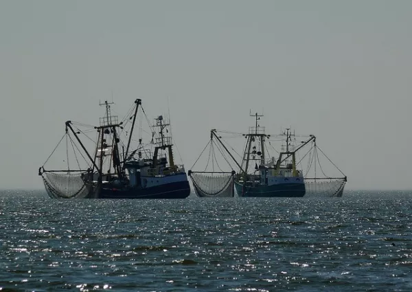 Эквадор и Перу борются с незаконным рыболовством лучше, чем Аргентина и Уругвай