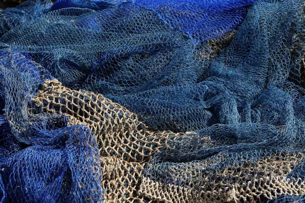 22,5% европейских коммерческих рыболовных судов обвинены в использовании принудительного труда