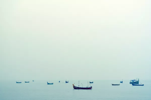 Власти Вьетнама призывает рыбаков к борьбе с нелегальным промыслом