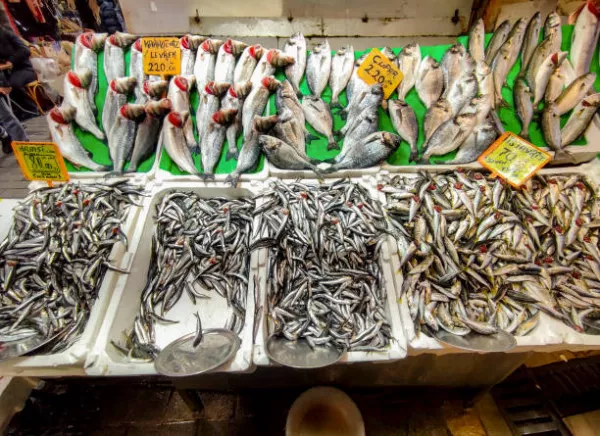 Турция достигла нового рекорда по производству рыбной продукции