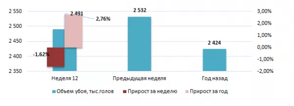 США: Обзор рынка свиней за 12 неделю от 23 марта 2026 года
