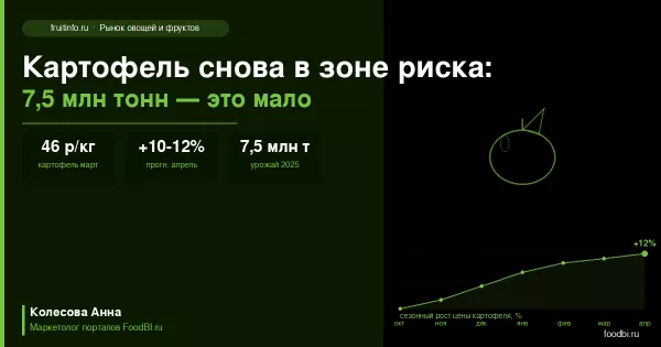 Картофель снова в зоне риска: история повторяется, но мало кто готов