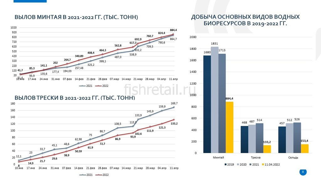 Динамика информации. Обзор рынка. Рынок рыбы в России 2022. Динамика рынка рыбы в России 2022. Исследование и анализ рынка.