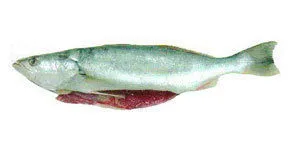 фотография продукта Свежемороженная рыба, краб, креветка