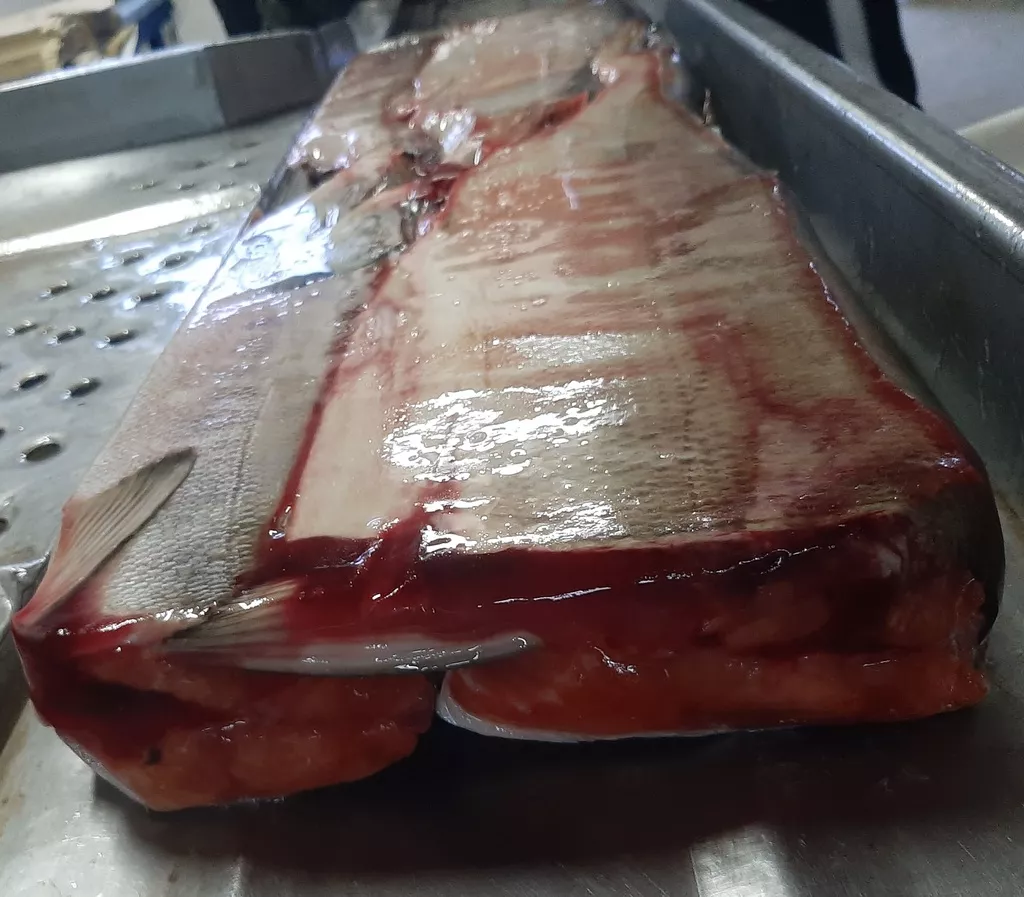 фотография продукта Кета потрошеная обезглавленная, 1 сорт