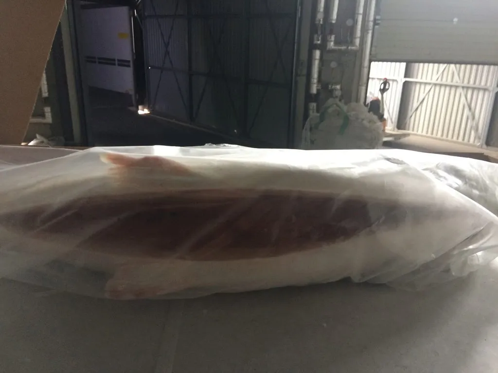 фотография продукта Продаю лосось Чили замороженный