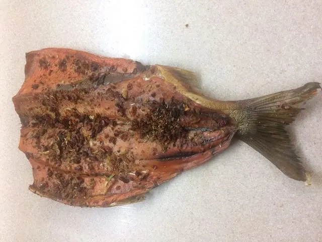фотография продукта Рыба горячего копчения